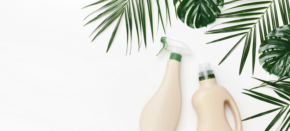 Ökologische Reinigung